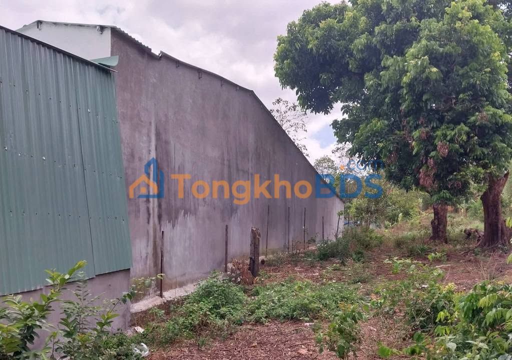 Đất nền Đắk Rơ Wa Kon Tum 483m² 600 triệu - Xây dựng tự do