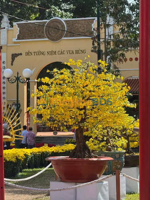 Căn hộ Landmark 2 Bình Thạnh 87m² 12.5 tỷ - View đẹp