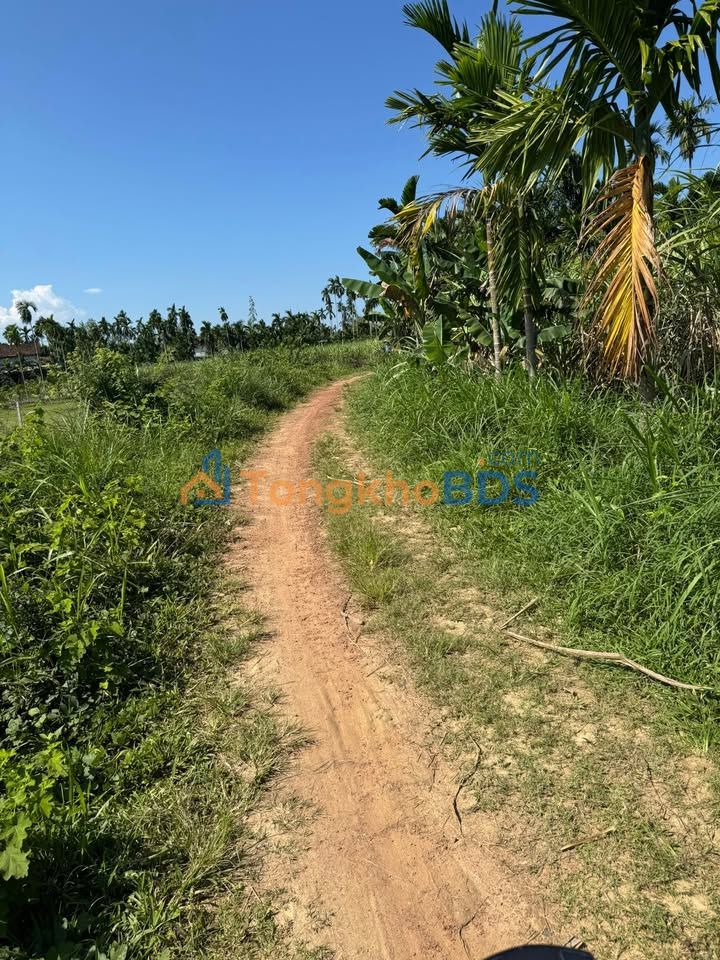 Đất Vườn Nghĩa Hành 350m² - Mặt Tiền Đường Xe Tải, Giá 3.4 Tỷ