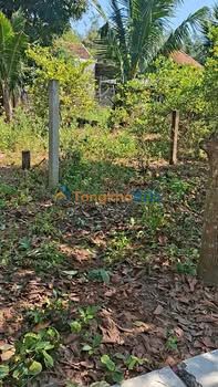 Đất Nghĩa Hòa Tư Nghĩa 140m² 290 triệu - Tiềm năng tăng giá