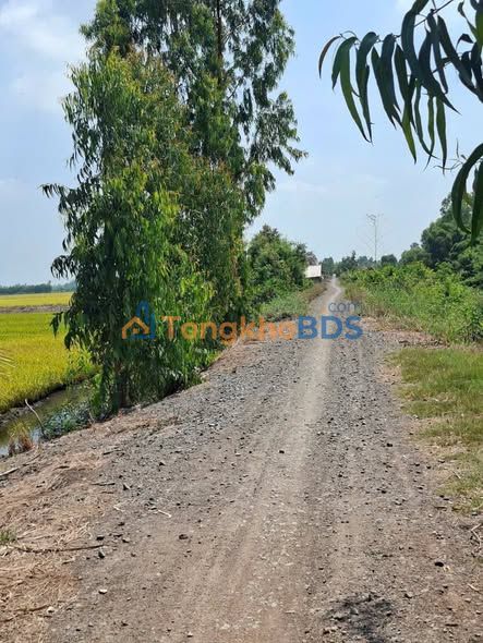 Farm Đường Đá Xanh Nhơn Hòa 14 công 2.24 tỷ - Phù hợp đầu tư dài hạn