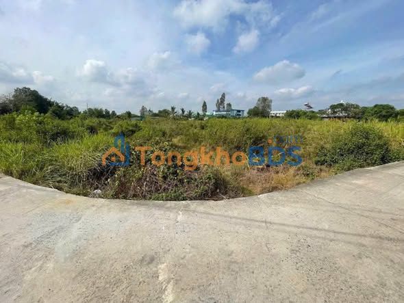 Đất nền P.3 Tân An 455m² 1.5 tỷ - Sổ đỏ chính chủ