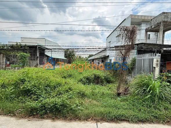 Đất nền Lương Bình Bến Lức 550m² 3.3 tỷ - Sổ đỏ chính chủ