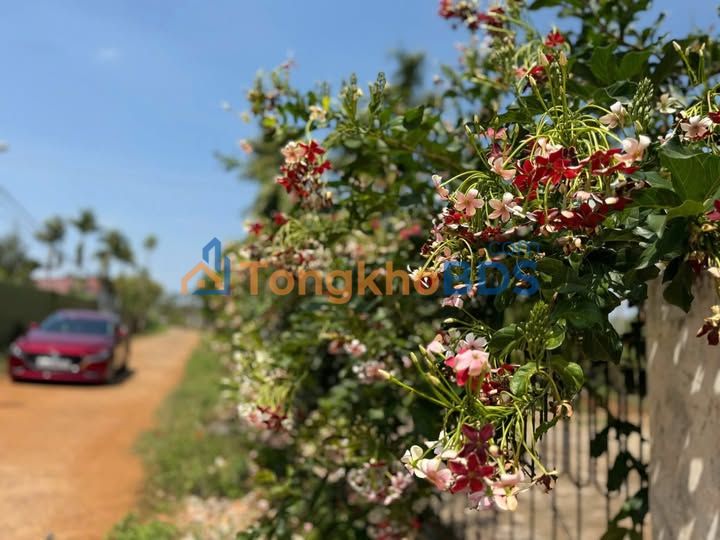 Đất nền Buôn Hồ 1 Hoàng Việt 270m² 1.6 tỷ - Sổ đỏ chính chủ