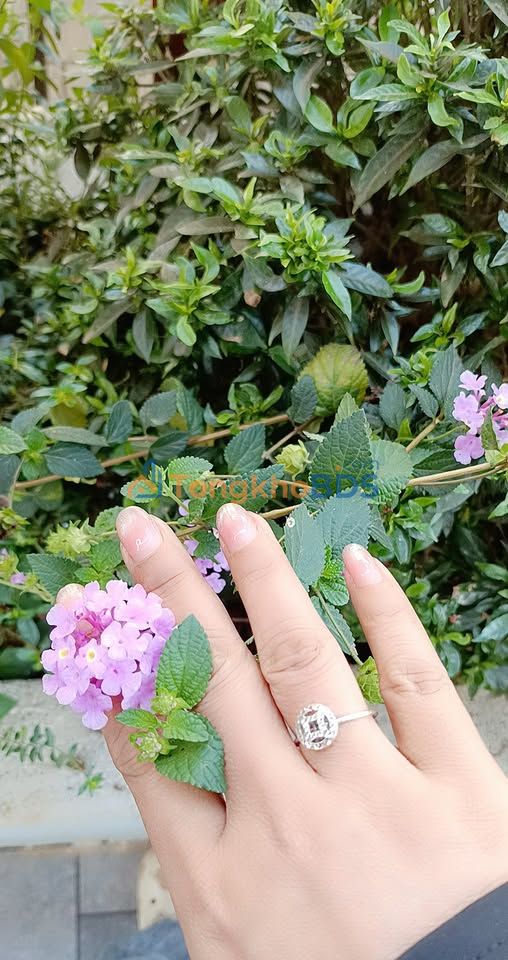 FrontHouse Hàm Nghi Buôn Hồ 234m²/2,5 tỷ - Mặt tiền kinh doanh