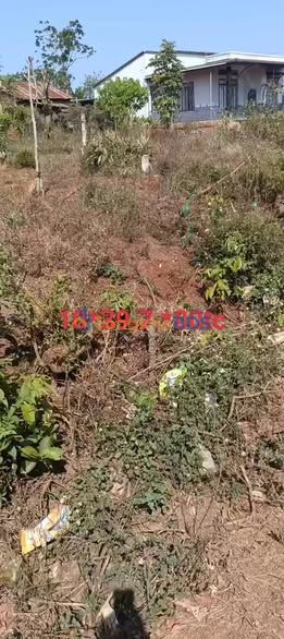 Đất nền Đường quy hoạch 22,9 Buôn Hồ 390m² 1,65 tỷ - Đường to ô tô