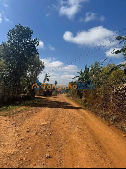 Đất Nguyễn Trung Trực Thiện An 320m² 102.4 tỷ - Đường ô tô