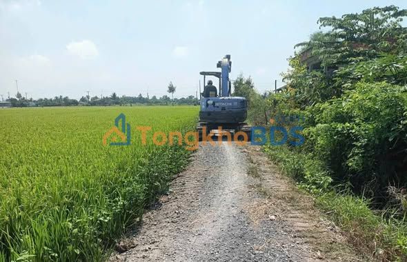 Đất vườn Bình Tịnh 600m² 480 triệu - Pháp lý rõ ràng