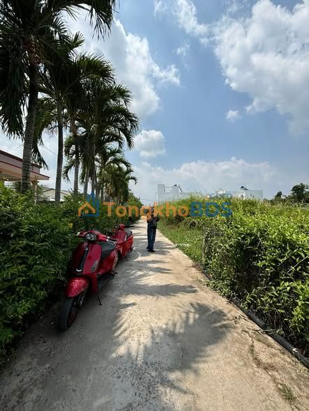 Đất nền Thị trấn Cần Giuộc 100m² 4 tỷ - Sổ đỏ chính chủ