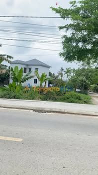 Đất nền Tam Điệp Yên Bình 4056m² thỏa thuận - Đường to ô tô