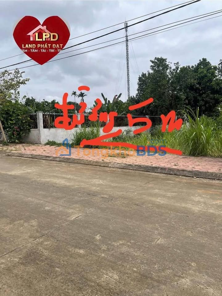 Đất nền Đông Sơn Tam Điệp 250m² 800 triệu - Tiềm năng tăng giá