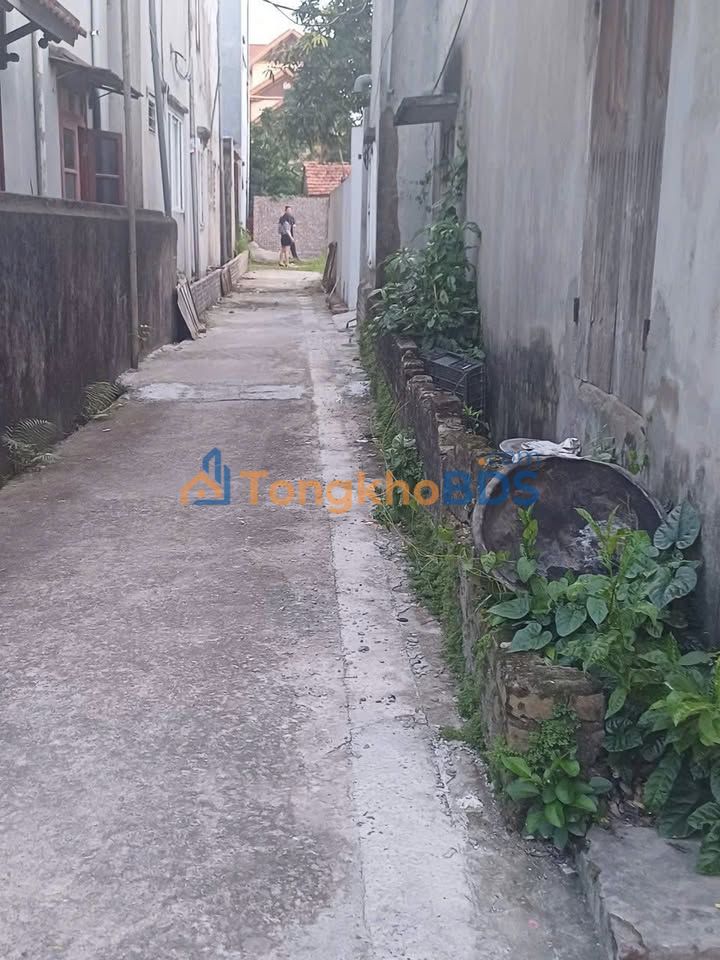 Đất nền Thường Tín 64m² 4.4 tỷ - Ô tô vào tận đất