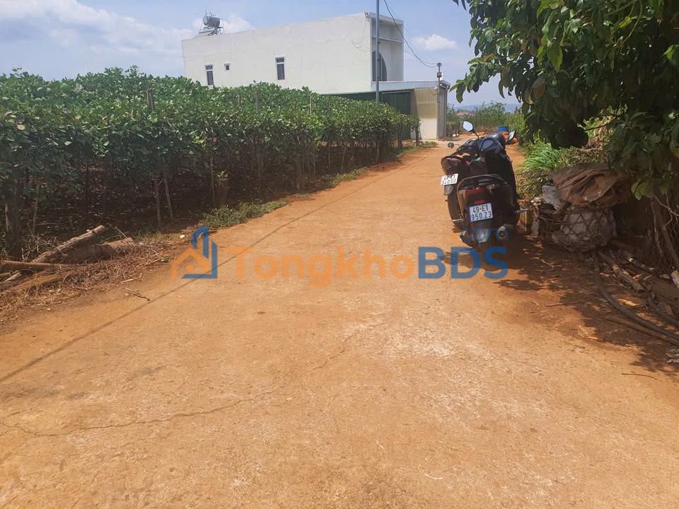 Đất nền Phú Hội Đức Trọng 130m² 1.18 tỷ - Sổ đỏ chính chủ