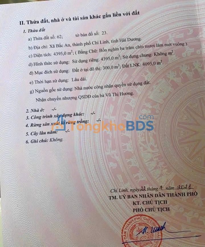 Đất nghỉ dưỡng Vạn Mỹ 7.000m² - Sổ đỏ, ô tô vào