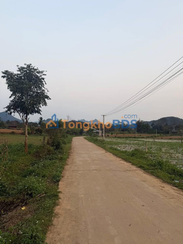 Đất nền Bản Mán Việt Quang 2.240m² 699 triệu - Giá F0 CĐT