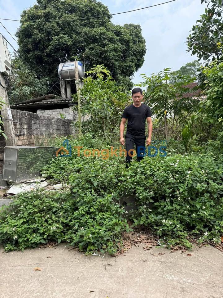 Đất Nền Phú Bình 116m² - Gần KCN Tân Đức - Chỉ Hơn 500 Triệu