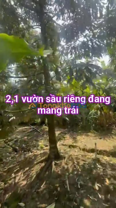 Đất vườn Hội Xuân 2100m² - Sinh thái xanh