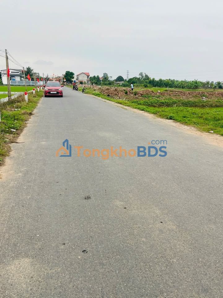 Đất Thuần Thành Thái Thụy 100m² giá thỏa thuận - Đường to ô tô