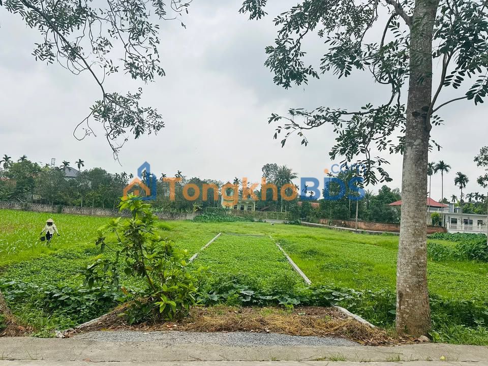 Đất thổ cư Thôn Phúc Thủy Lý Nhân 125m² giá 1 tỷ - Sổ đỏ chính chủ