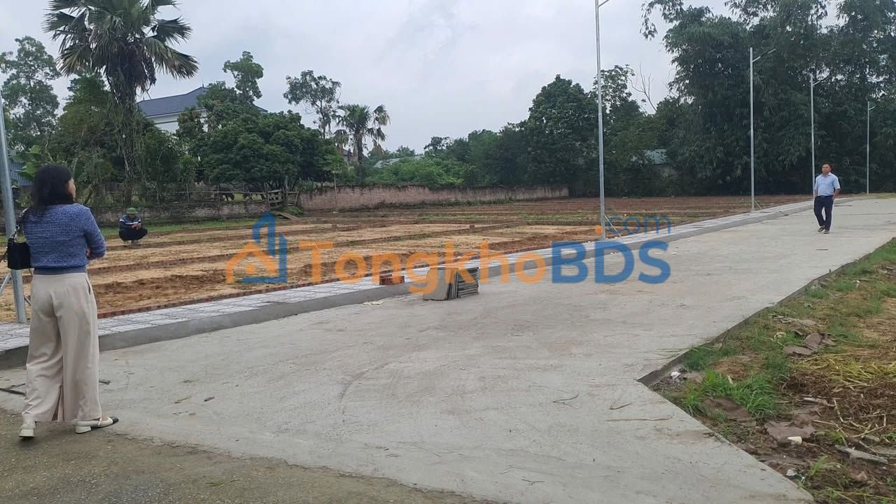 Đất Hướng Đạo Tam Dương 120m² 500 triệu - Sổ đỏ chính chủ