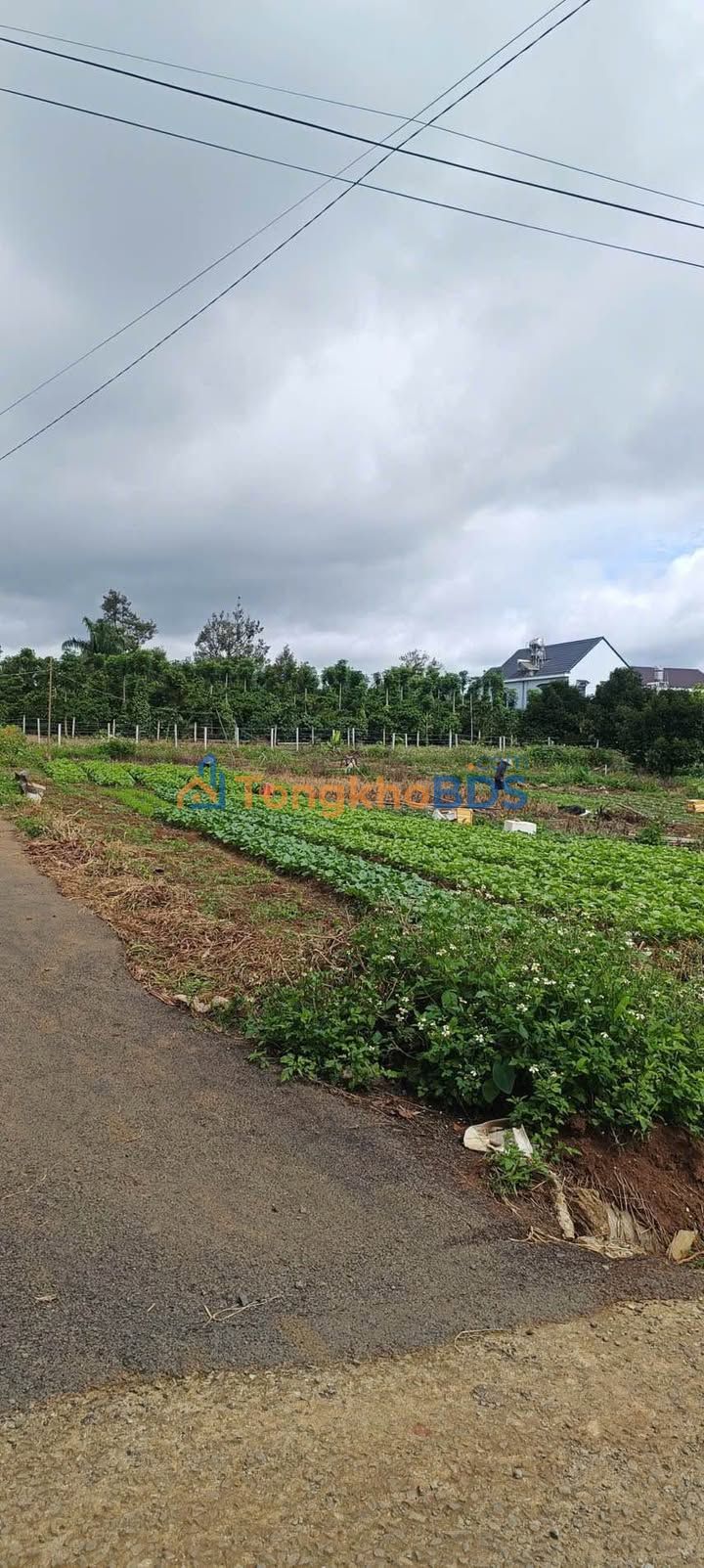 Đất Nền Bảo Lâm 1111m² Giá 2.85 Tỷ - Đường Lê Đại Hành, Lộc Ngãi