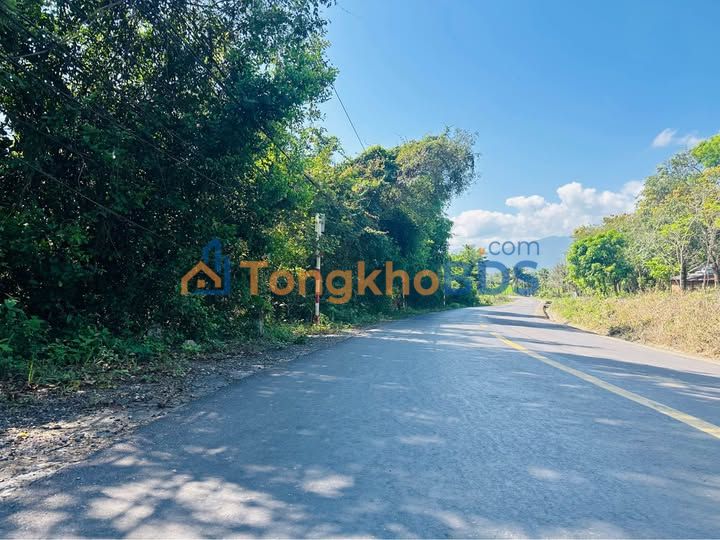 Đất TL8 Diên Lâm 11.500m² 2,5 tỷ - Đường to ô tô