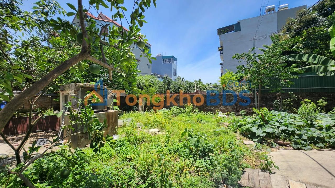 Đất nền Dương Nội Hà Đông 69m² 8 tỷ - Sổ đỏ chính chủ