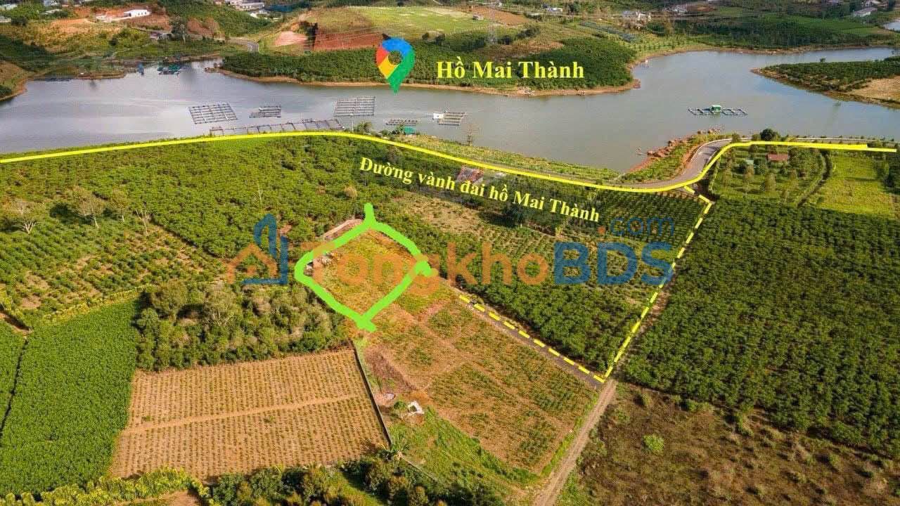 Đất nền Bảo Lộc Lộc Tiến 537m² 720 triệu - Đường to ô tô