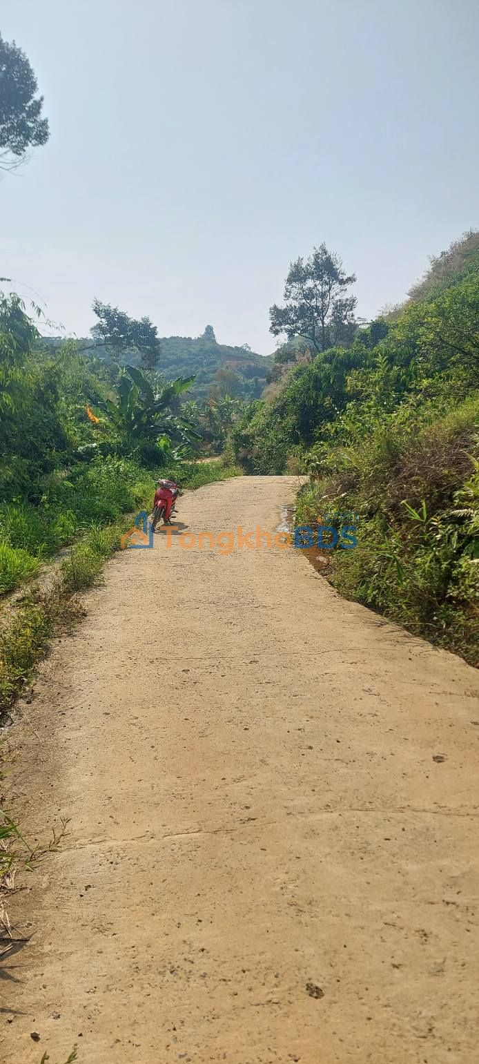 Đất vườn Lộc Thành Bảo Lâm 2717m2 1.1 tỷ - Nghỉ dưỡng lý tưởng