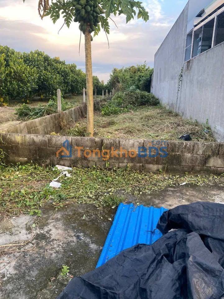 Đất nền Phạm Văn Cội Củ Chi 140m² 1,55 tỷ - Tiềm năng tăng giá