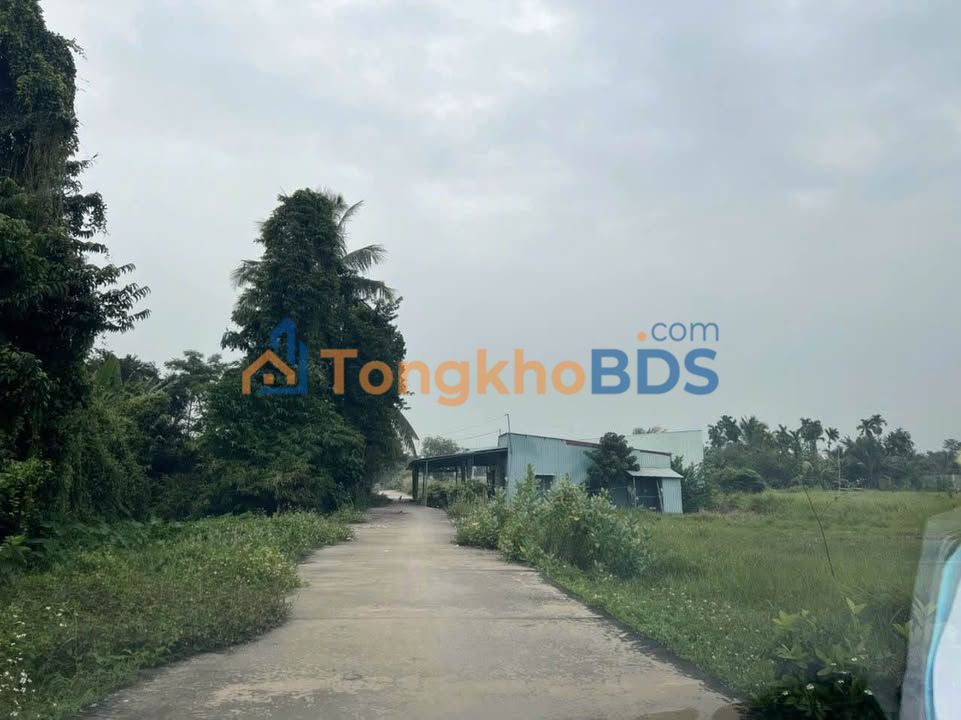 Đất Củ Chi Huỳnh Thị Dần 86m² 1.4 tỷ - Sổ đỏ chính chủ