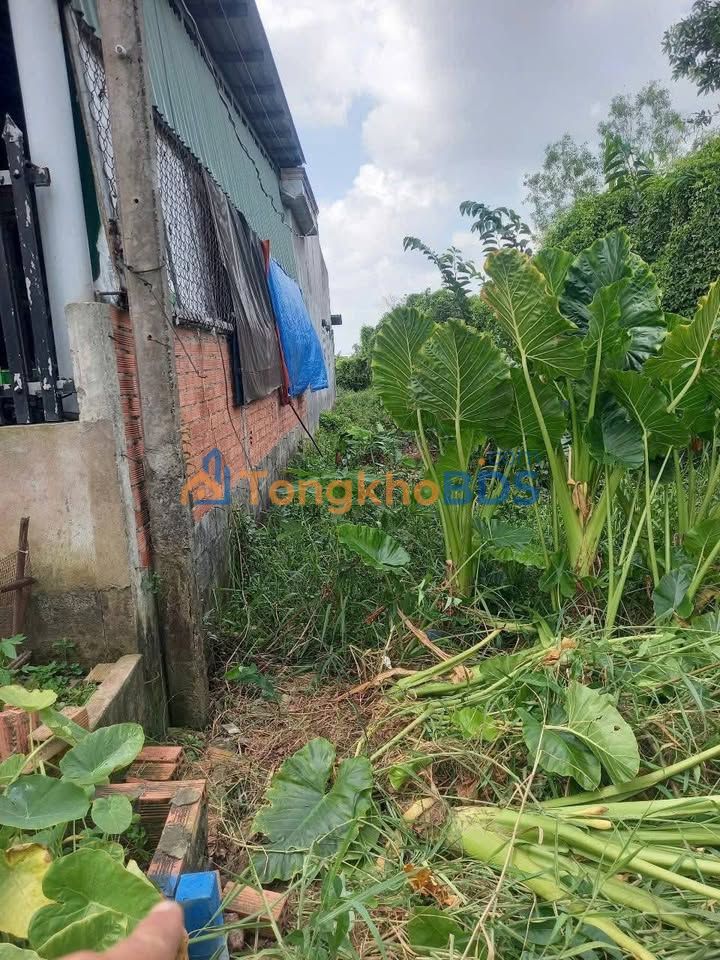 Đất nền Đức Hòa Hạ 140m² 780tr - Sổ đỏ chính chủ