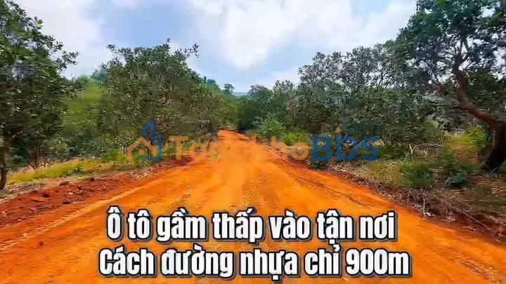 Đất vườn Tân Lâm 5,2ha 1,8 tỷ - Đầu tư dài hạn