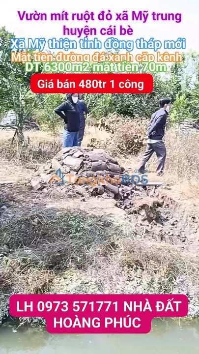 Đất vườn Mỹ Trung Cái Bè 6,3 công 3.024 tỷ - Sổ đỏ chính chủ