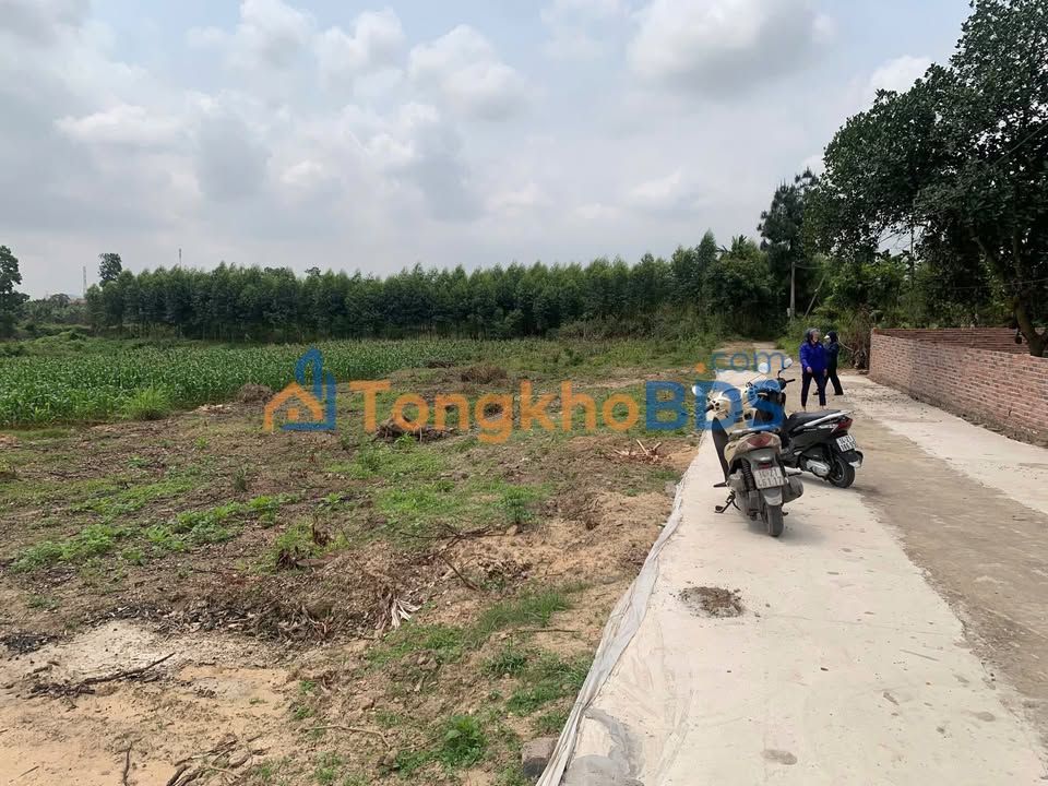 Đất Tràng Bảng 1 Bình Xuyên 179m² 400 triệu - Sổ đỏ