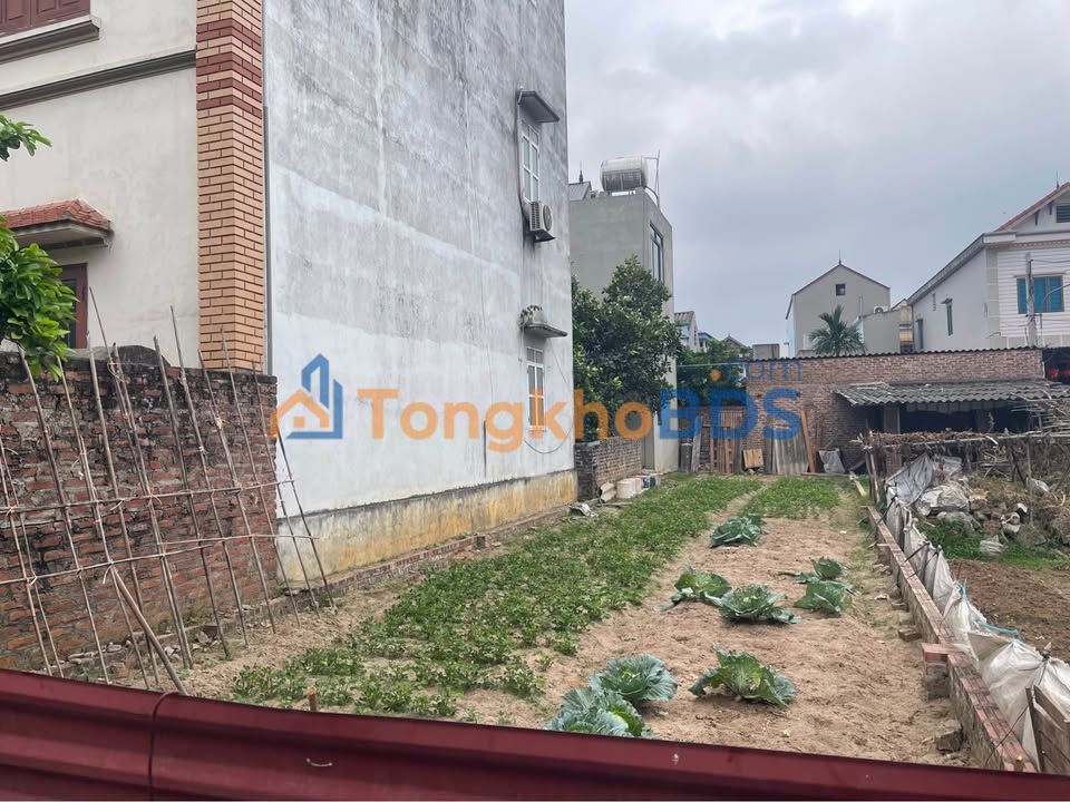 Đất nền Xuân Nộn 98m² giá thỏa thuận - Tiềm năng tăng giá