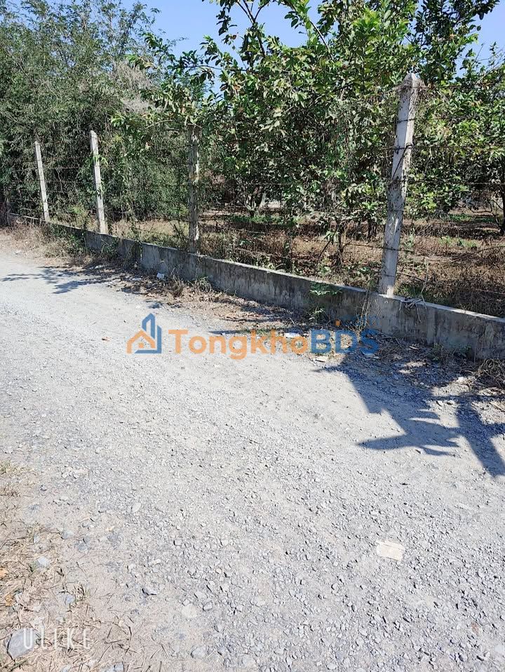 Đất nền Thạnh Đức Tân Châu 135m² 379tr - Xây dựng tự do