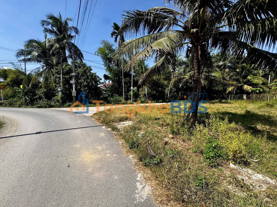 Đất nền Diên Lạc Diên Khánh 116m² 1,55 tỷ - Hạ tầng hoàn thiện