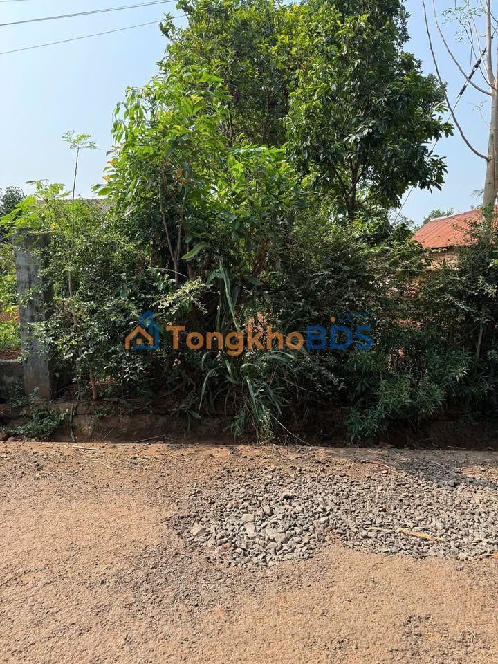 Đất nền Thôn 6 Đường B4 140m² 1.97 tỷ - Sổ đỏ chính chủ