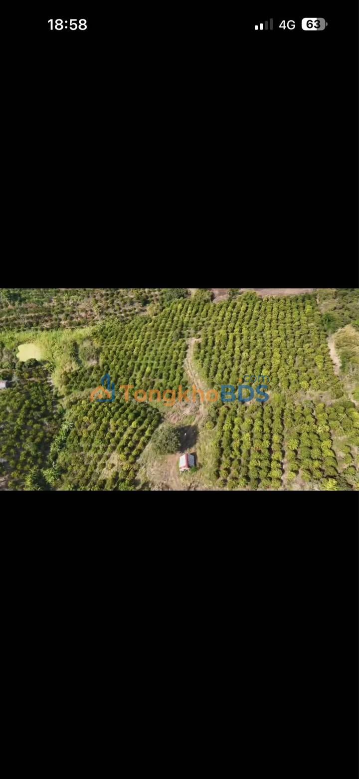 Đất nền Đắk R'La Đắk Mil 5ha 2.4 tỷ - Sổ đỏ chính chủ