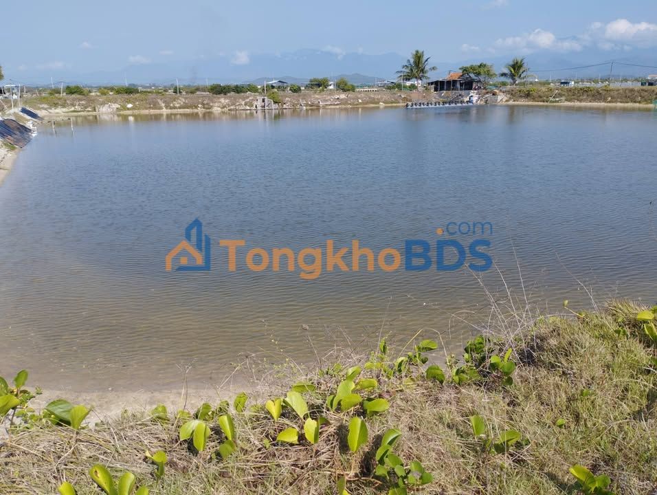 Đìa nuôi tôm Ninh Diêm Ninh Hòa 1ha - Sinh thái xanh