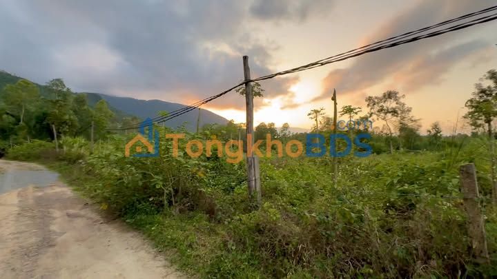 Đất nền 4000m² Ninh Ích thỏa thuận - Đường to ô tô dễ vào