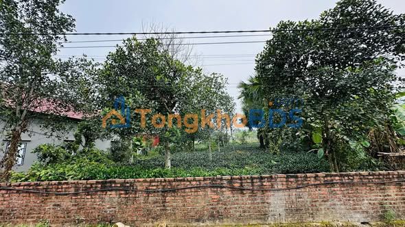 Đất nền Tu Vũ Thanh Thuỷ 619m² - Ô tô tránh nhau