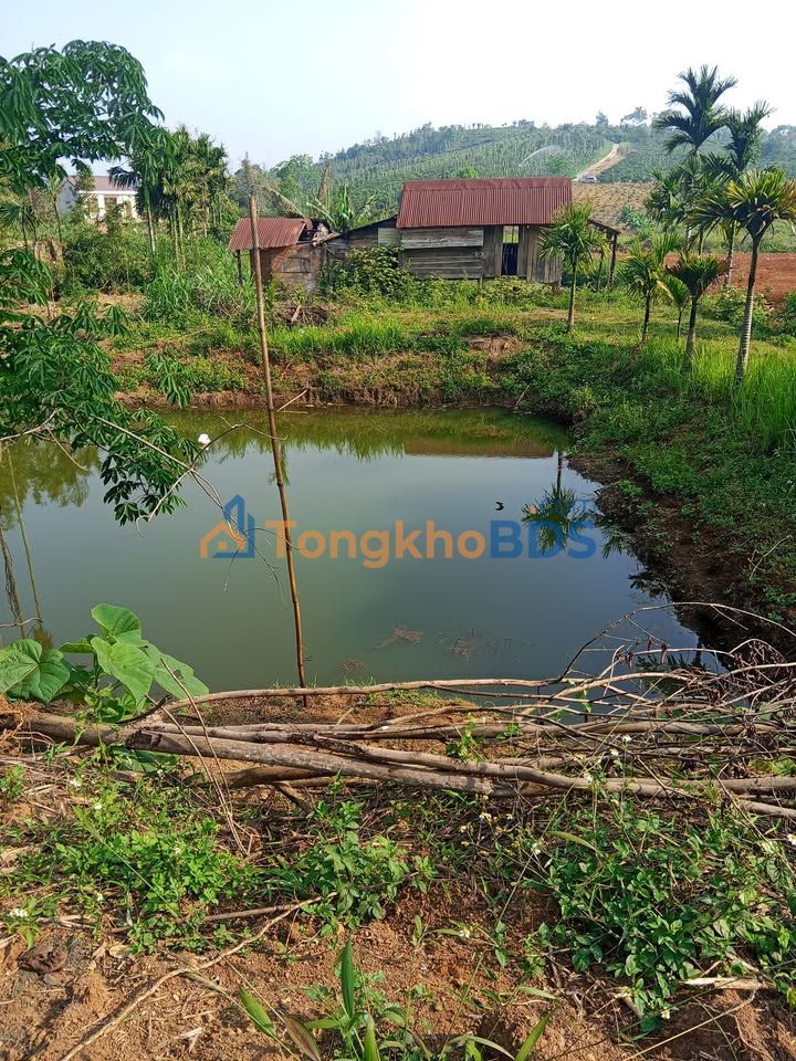 Land Đăk N’Dung Đắk Song 432m² giá 320 triệu - Sổ đỏ chính chủ