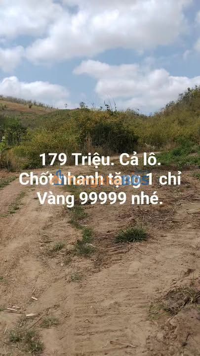 Đất vườn Ea H'leo 1,3ha 179 triệu - Đầu tư dài hạn