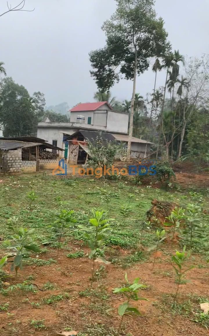 Đất Nghỉ Dưỡng Hòa Bình 1800m² - Sổ Hồng Sẵn, Giá Chỉ Từ 300 Triệu