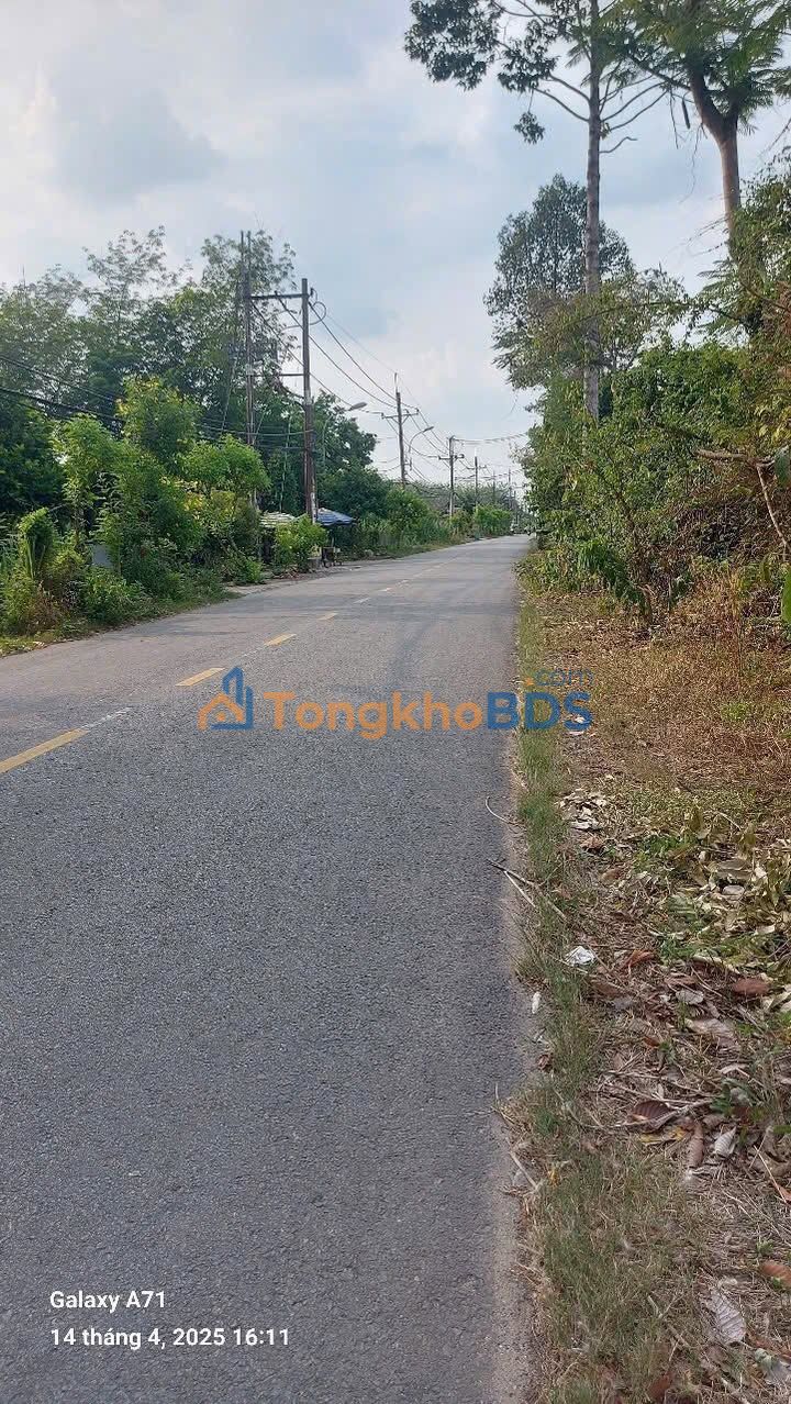 Đất nền Nhuận Đức Củ Chi 10.060m² 15 tỷ - Đường to ô tô