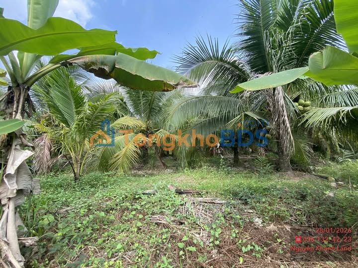 Đất Nền Giao Long, Bến Tre 340m² - Sổ Đỏ Rõ Ràng, Giá Đầu Tư 579 Triệu