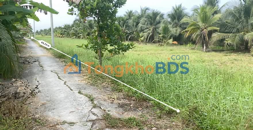 Bán Đất Vườn Bến Tre 1200m² - Sổ Đỏ Rõ Ràng, Giá 1 Tỷ