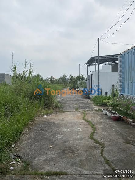 Đất Thổ Cư 192m² Bến Tre - Sẵn Sổ, Giá Tốt 850 Triệu